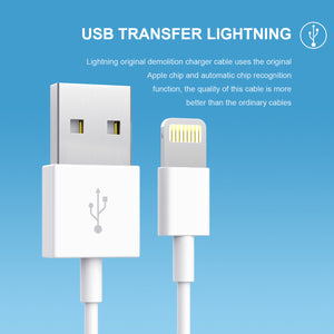 US Plug Power Adapter Micro USB to Lightning Cable for iPhone 11/iPhone 11 Pro/iPhone 11 Pro Max/iPad Pro 9.7/iPad Pro 10.2
